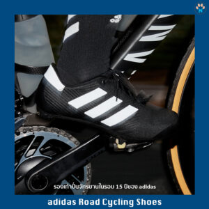 adidas Road Cycling shoes