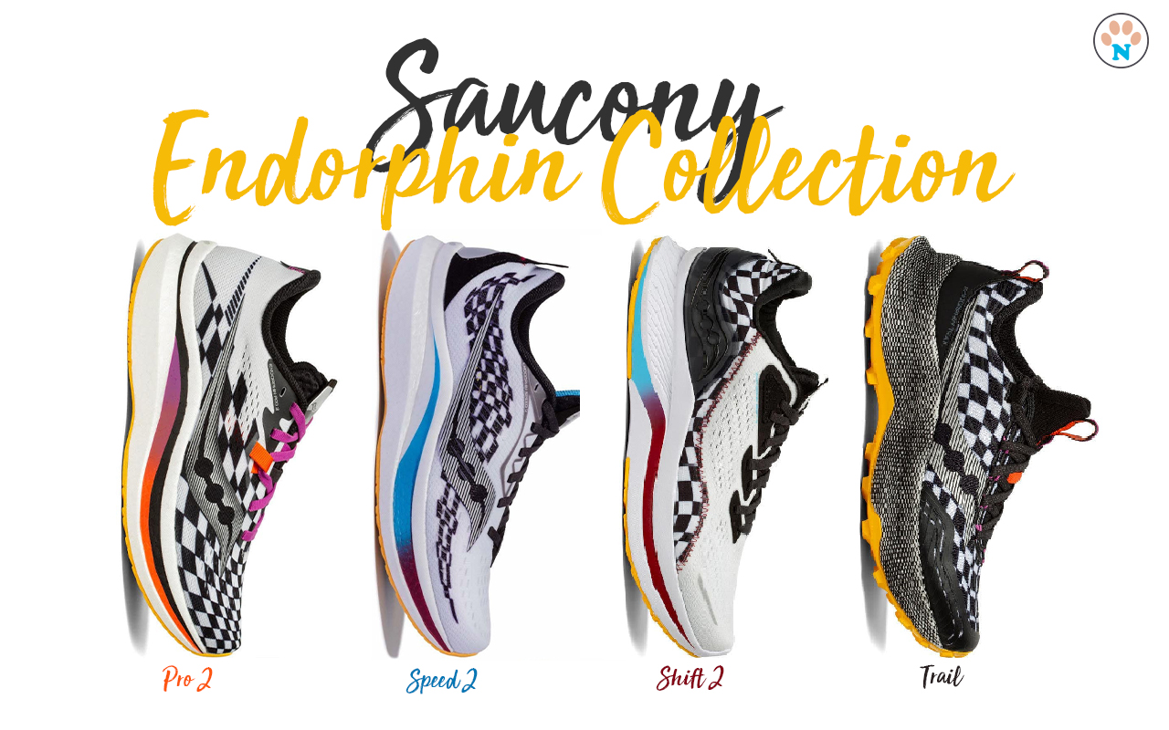 เปิดกรุ Saucony Endorphin collection 2021