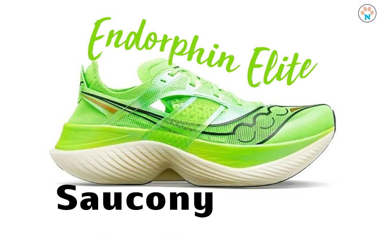 Saucony Endorphin Elite cover