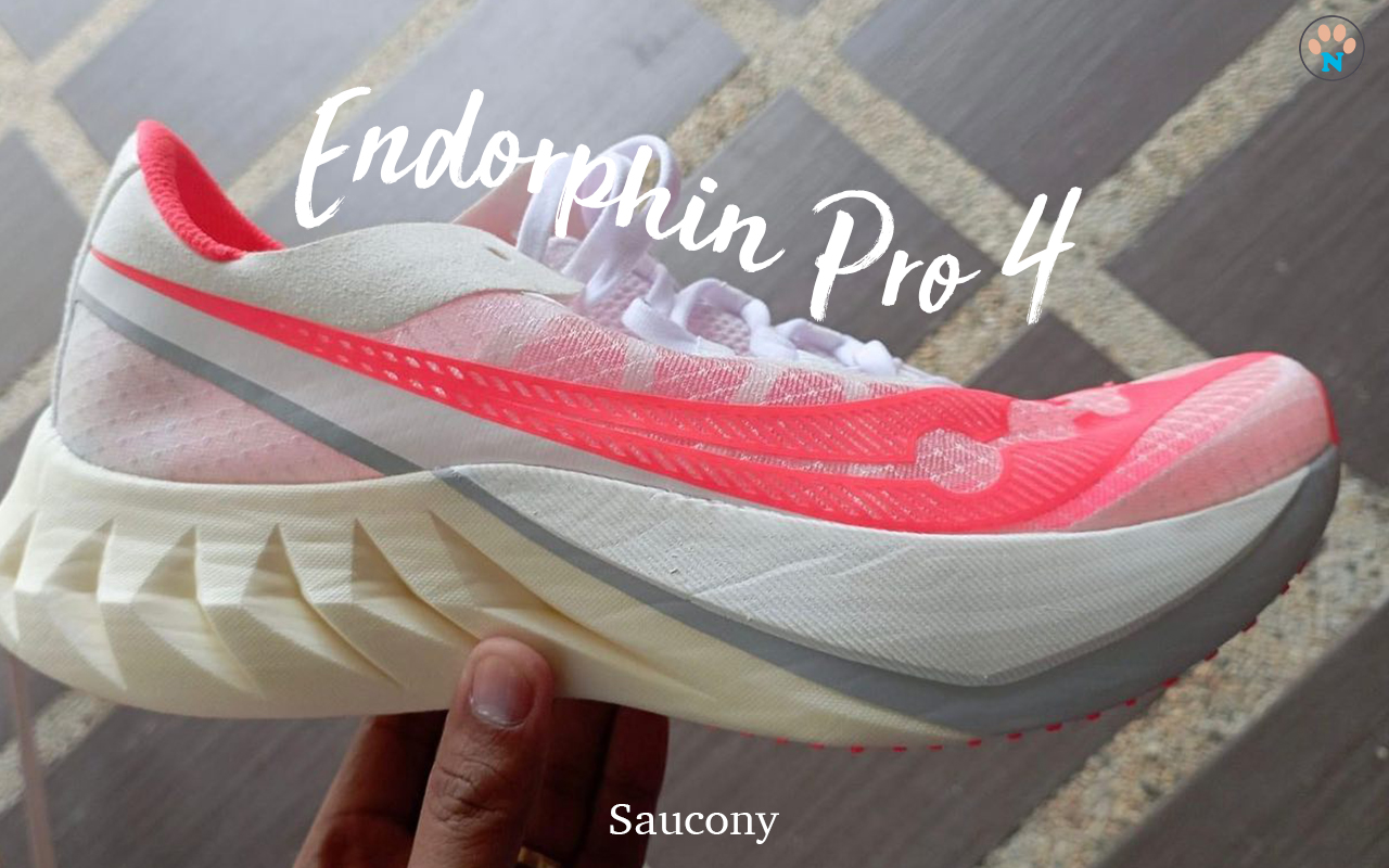 Endorphin Pro 4 cover