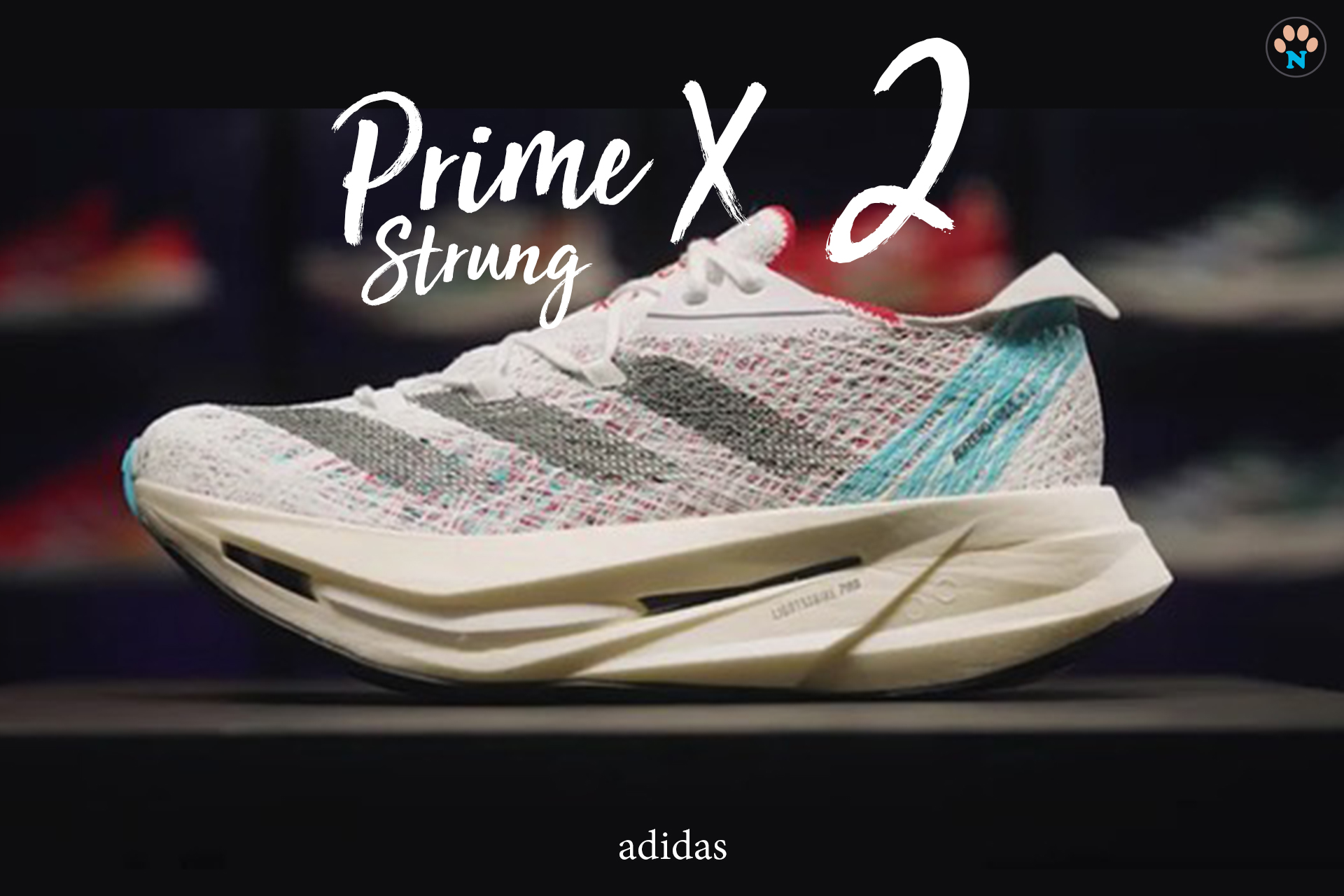 Prime X Strung 2 cover